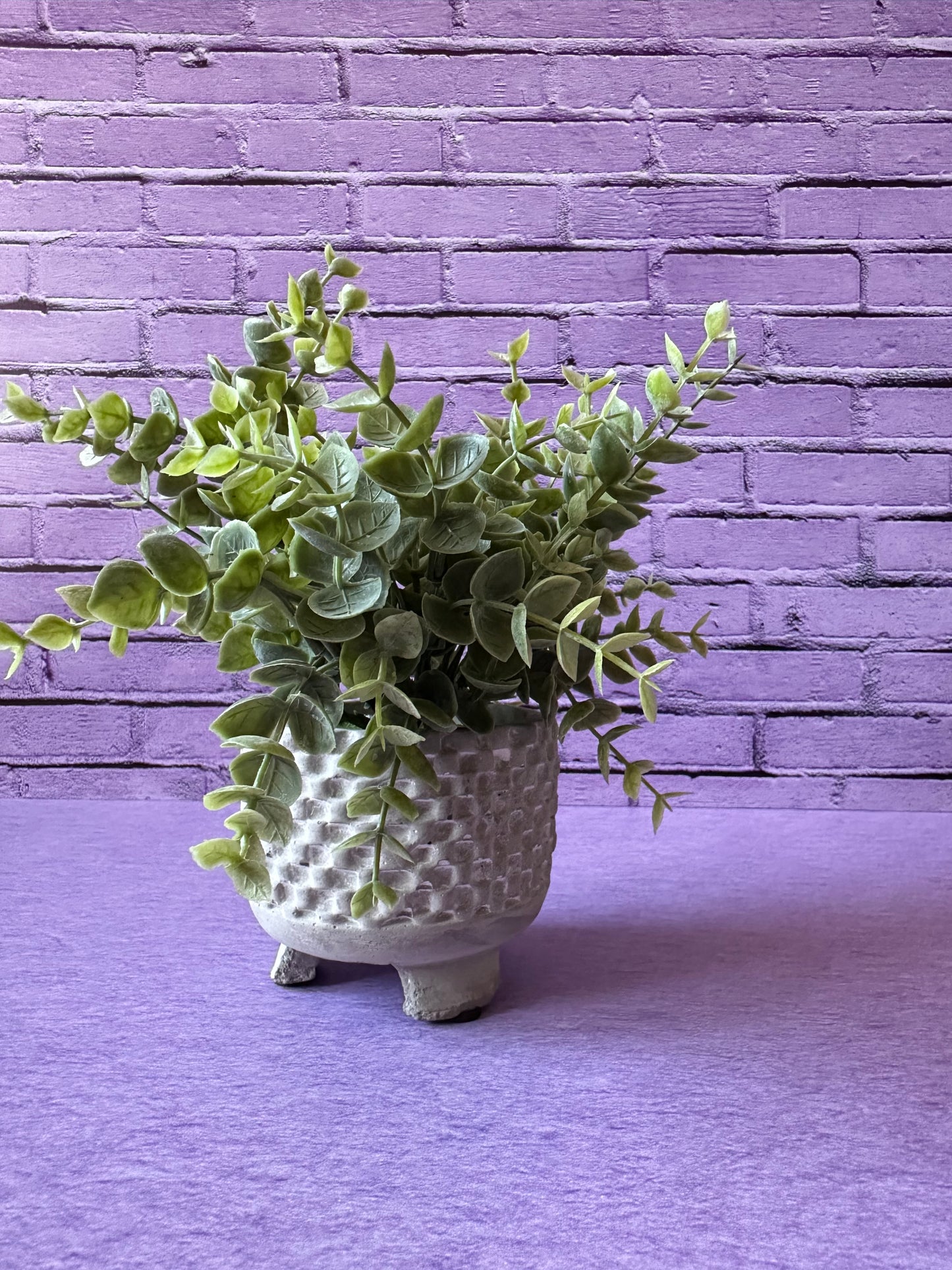 Ladrillo Morado