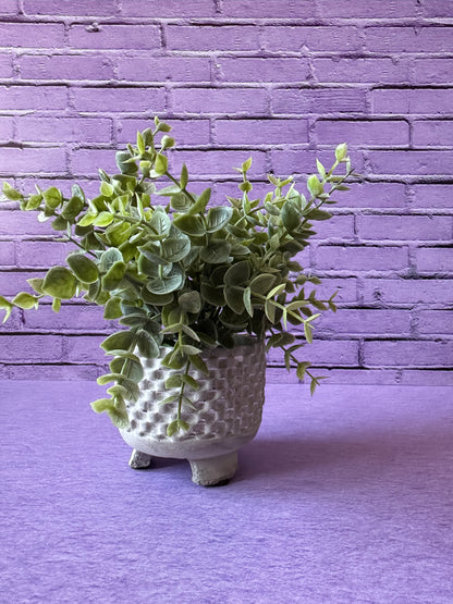 Ladrillo Morado