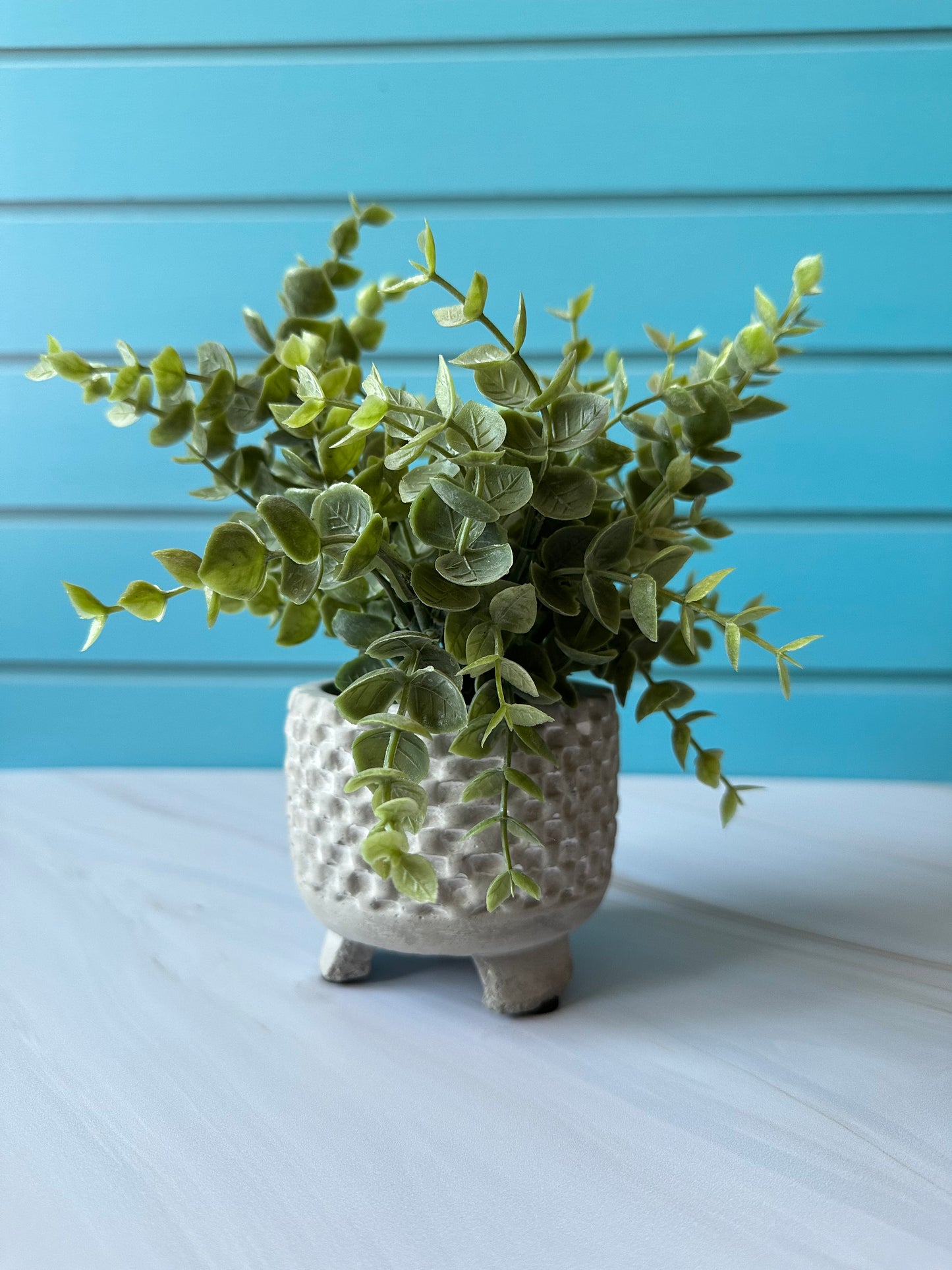 Madera Celeste