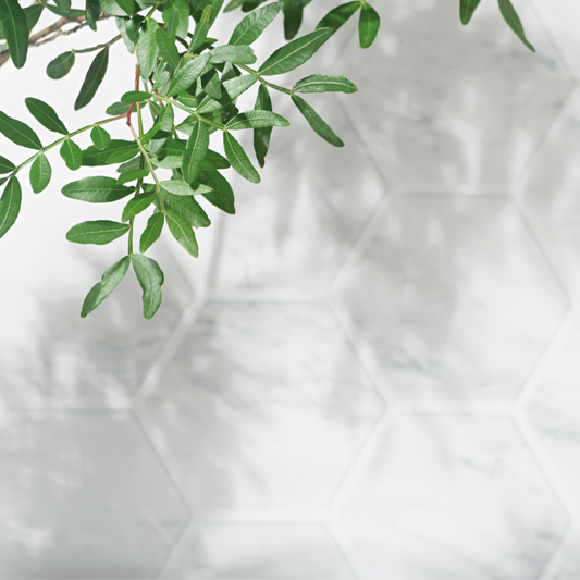 Azulejo Gris con Planta
