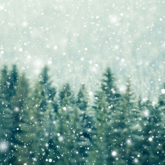 Bosque Nevado