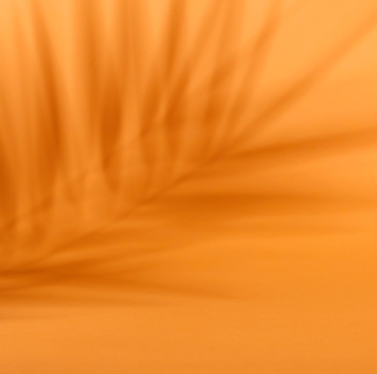 Palmera Naranja