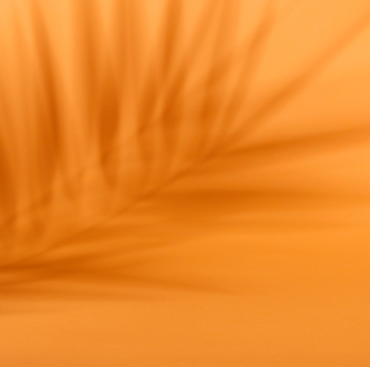 Palmera Naranja