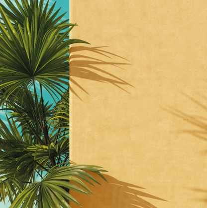 Palmera con Pared Summer