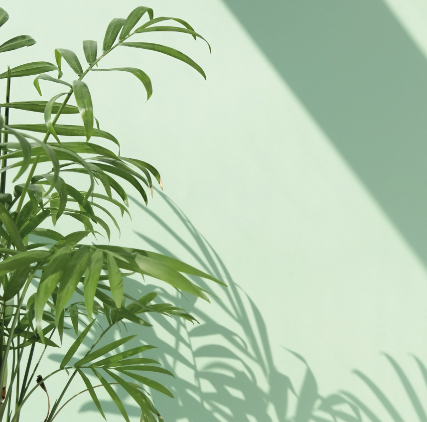 Planta Verde