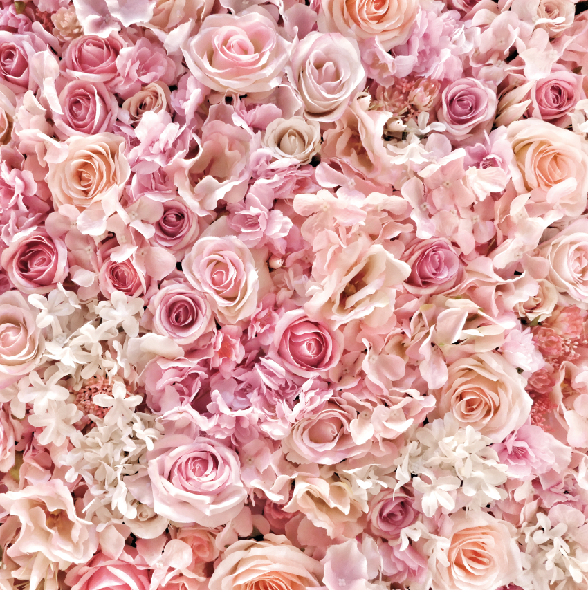 Rosas Delicadas