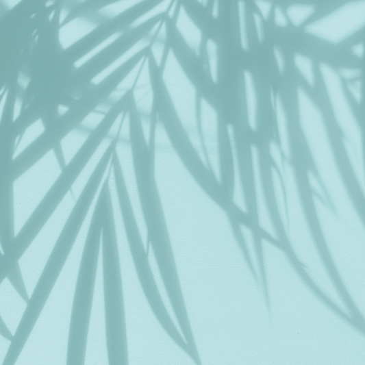 Sombra Palmera Celeste
