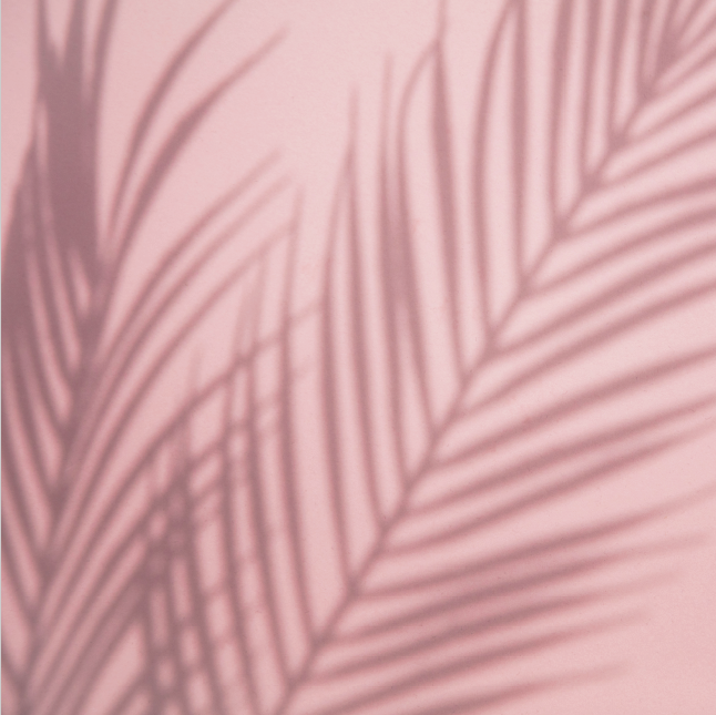 Sombra Pink #4