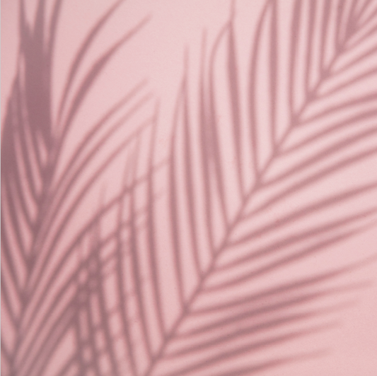 Sombra Pink #4