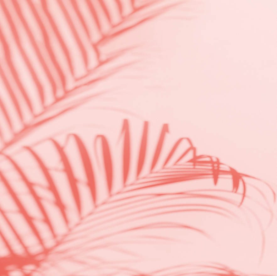 Sombra Pink 6