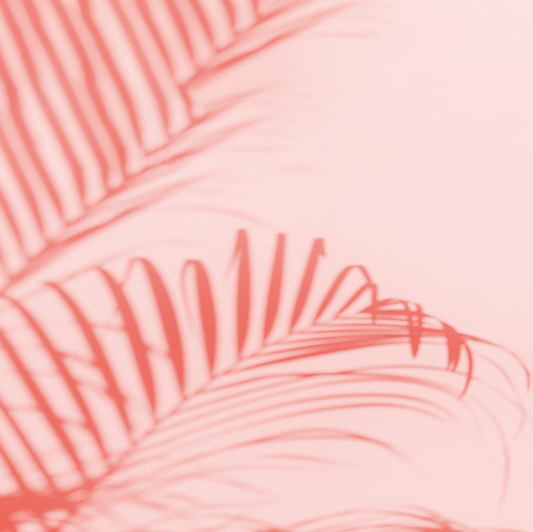 Sombra Pink 6