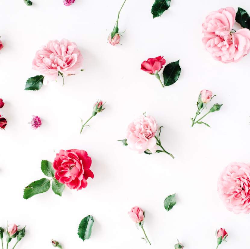 Textura Floral #1