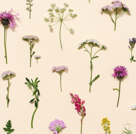 Textura Floral #2