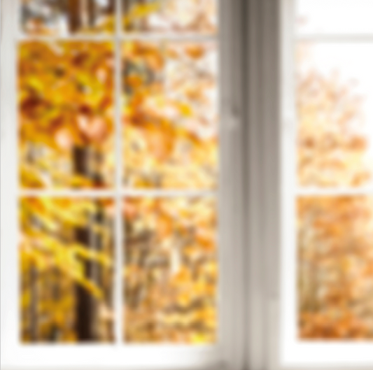 Ventana Otoño Blur