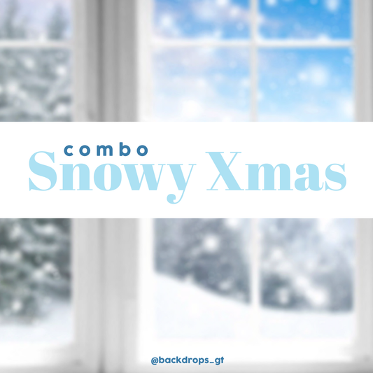 COMBO SNOWY XMAS